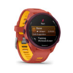 Relógio Garmin Forerunner 170 - Imagem 29