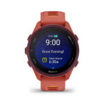 Relógio Garmin Forerunner 170 - Imagem 28