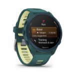 Relógio Garmin Forerunner 170 - Imagem 36
