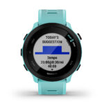 Relógio Garmin Forerunner 55 - Imagem 25